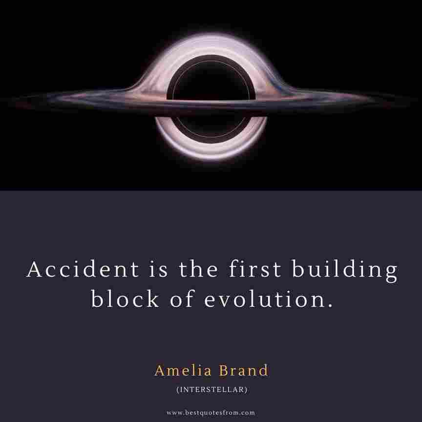 Accident is the first building block of evolution from by  Amelia Brand