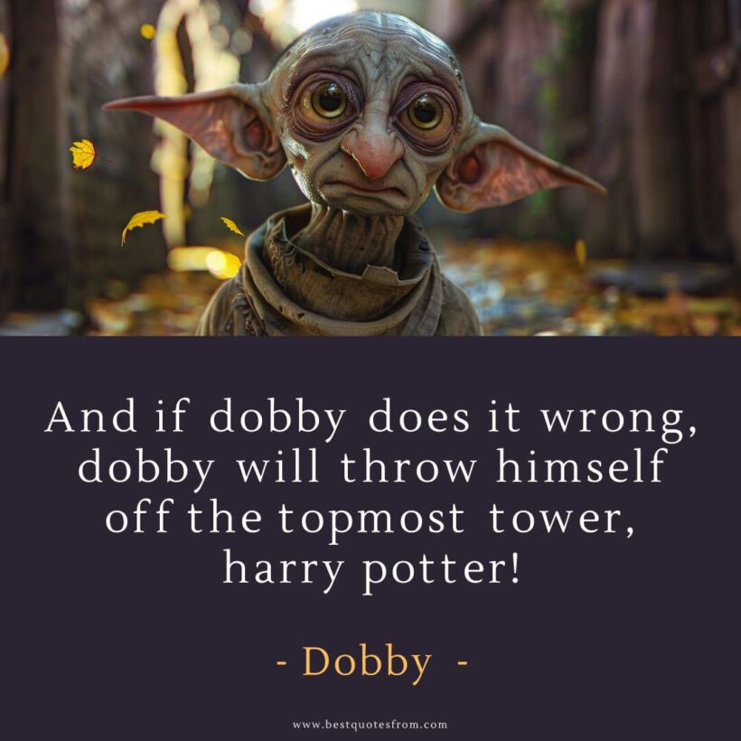58 Iconic Dobby Quotes Harry Potter s Truest Friend