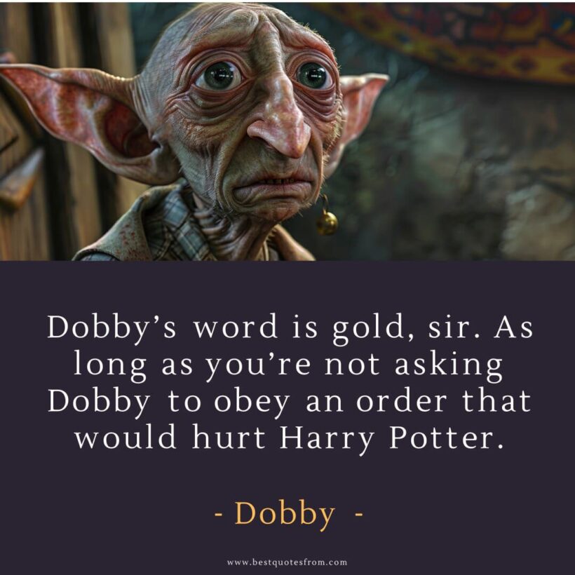 58 Iconic Dobby Quotes Harry Potter s Truest Friend