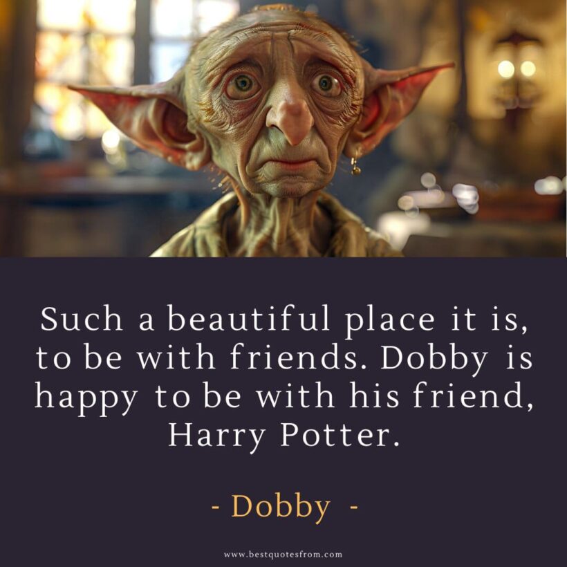 58 Iconic Dobby Quotes Harry Potter s Truest Friend