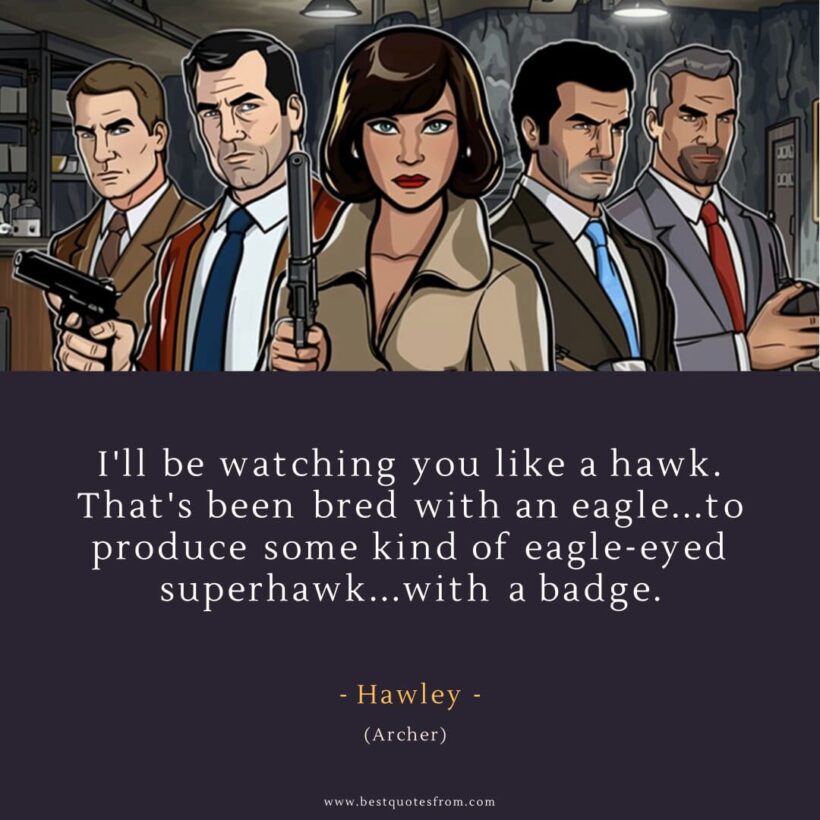 Hawley Quote: “I'll be watching you like a hawk. That's been bred with an eagle...to produce some kind of eagle-eyed superhawk...with a badge.”